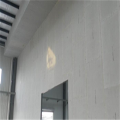 朔城宁波ALC板|EPS加气板隔墙与混凝土整浇联接的实验研讨